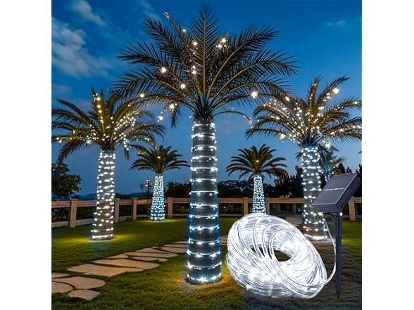 Honche Solar Rope Light 33FT 100L IP65