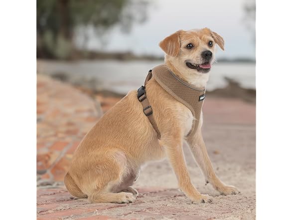Best Pet Voyager Aerolite Over the Head Dog Harness, XSM