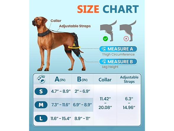 CAMRIER 2X Support Dog Knee Brace with Metal Strips MED