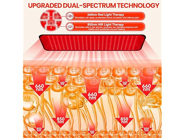 ZonGym Red Light Therapy