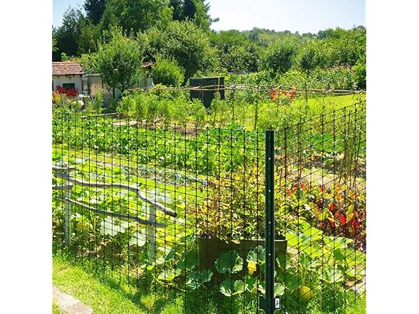 Jobe's Organics Jobes LG400171 Deer Barrier Fencing,