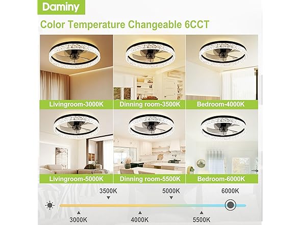 DAMINY Ceiling Fandelier with Lights | 20in