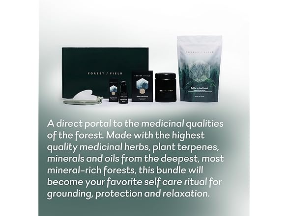 Forest Field Bathe in The Forest Bundle