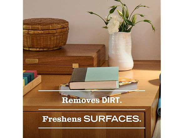 Mrs. MEYER'S CLEAN DAY All-Purpose