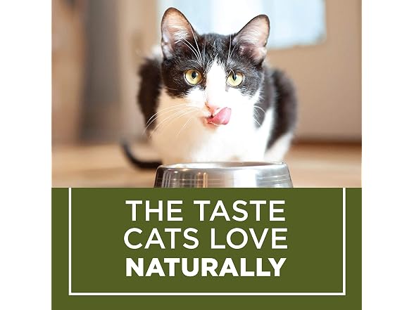 Purina Cat Chow Naturals Plus Vitamins & Minerals