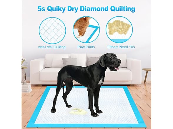 40"x40" puppy pads
