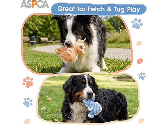 ASPCA 2 Pack Plush Dog Toy with Squeaker, Sea Horse