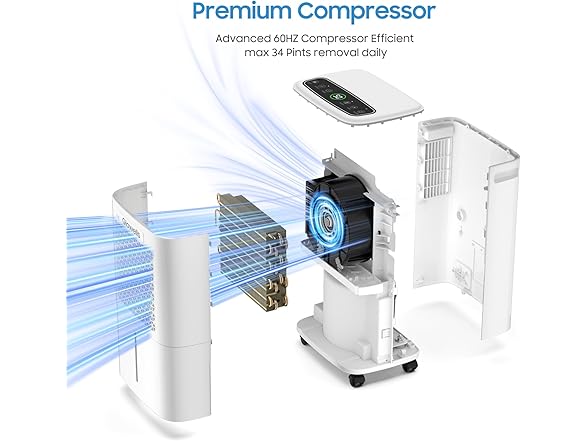 2500 Sq.Ft Dehumidifier