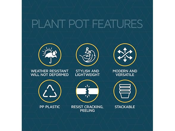Lifemaster 6" Plant Pots with Drainage, 24 Pack