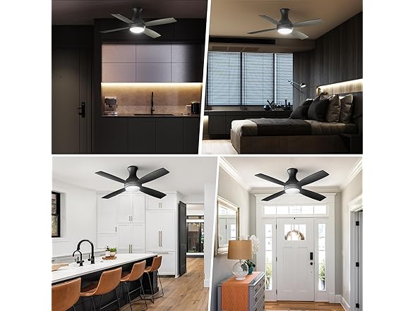 Consciot 52 Inch Ceiling Fan With Lights, Modern Black