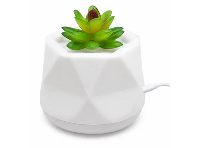 LED Color-Changing Water-Free Succulent Aroma Diffuser