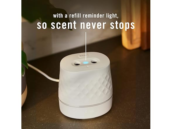 Febreze Plug Air Freshener Starter Kit Cinnamon