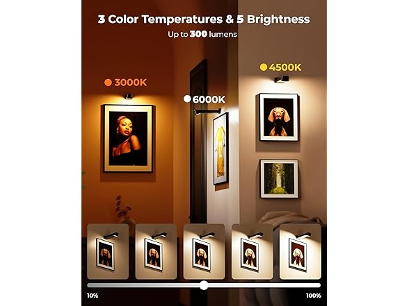 3 Pack Picture Lights for Wall