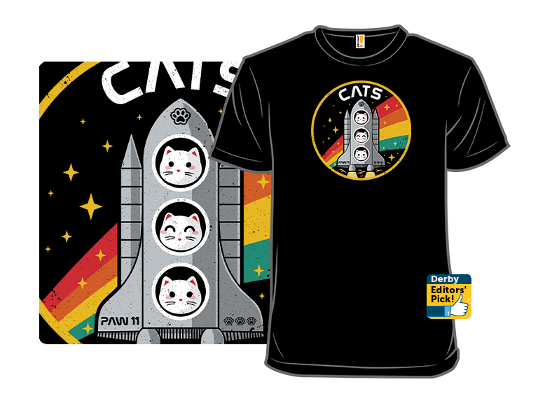 CATS  Space Division