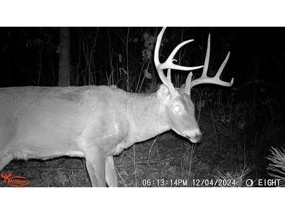 Wildgame Innovations 24MP Terra XD Trail Camera