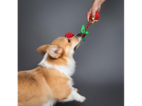 NOAH & PAW Luxury Dog Toy, Cherry
