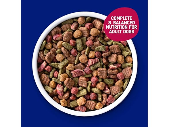 Bistro Beef Dry Dog Food 45lb