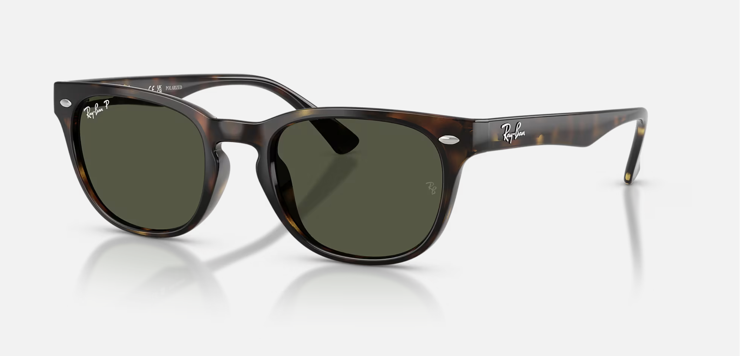 Ray-Ban RB4140 Polarized Sunglasses - Gallery 4