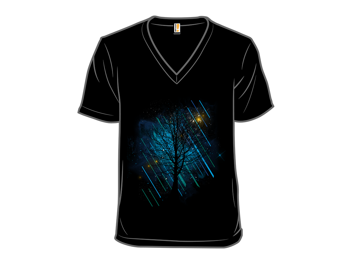 Northern Night - Gallery 10