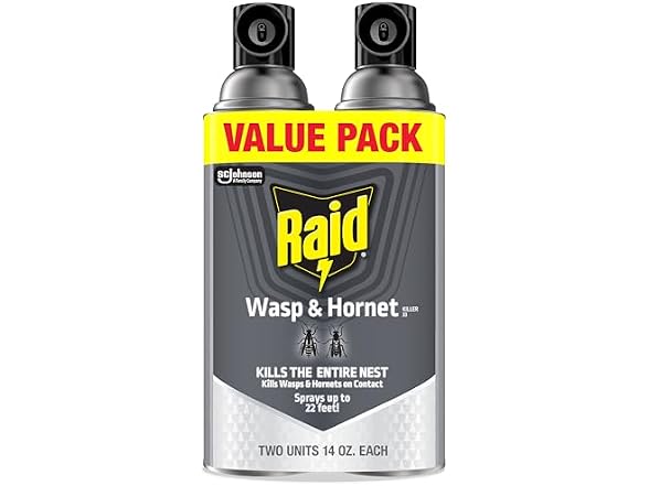 Raid GAR-03 Raid Wasp & Hornet Killer 14 Oz, 2 Ct