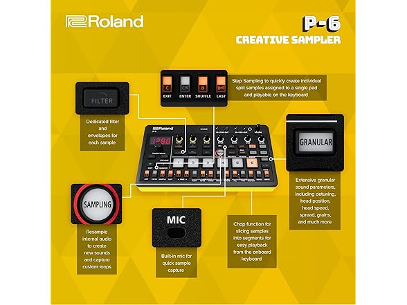 Roland P-6 Sample Tool