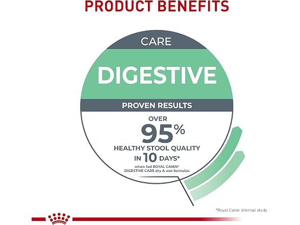 24Pk Royal Canin Feline Care Nutrition Digestive