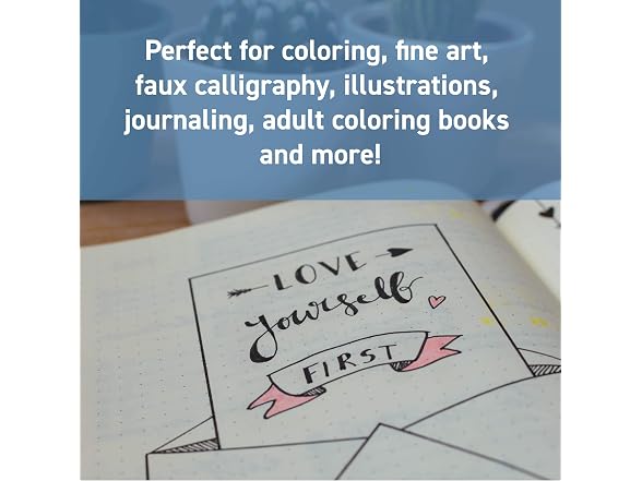 Artist's Loft Watercolor 12 Color Dual-Tip Markers
