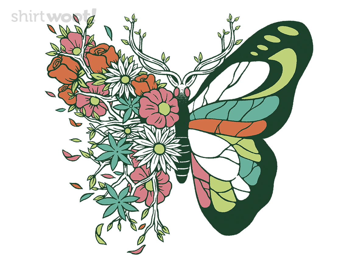 Nature Butterfly Metamorphosis - Gallery 4