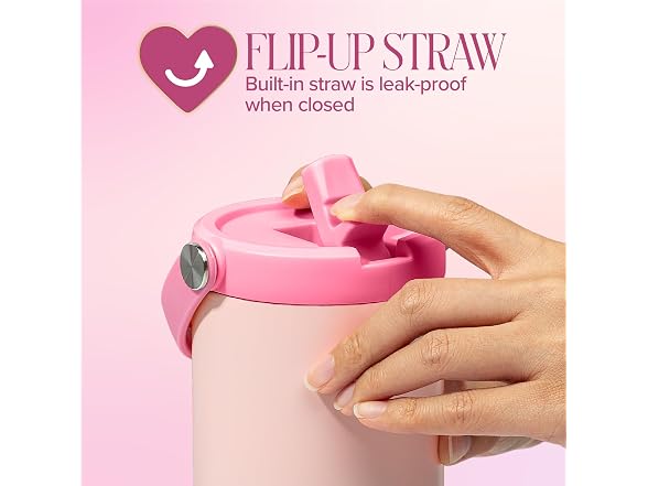 Paris Hilton 30 oz Insulated Tumbler