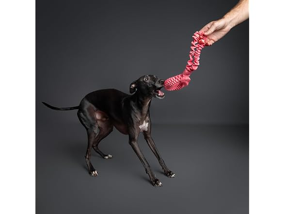 NOAH & PAW Luxury Dog Toy, Dog Rope Toy- Tug Ring, Pink