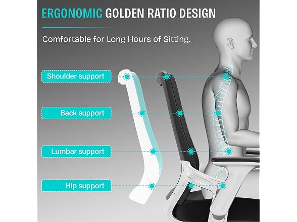 Office Chair, Ergonomic Computer Desk