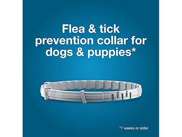 Seresto Small Dog Flea & Tick Treatment & Prevention Collar