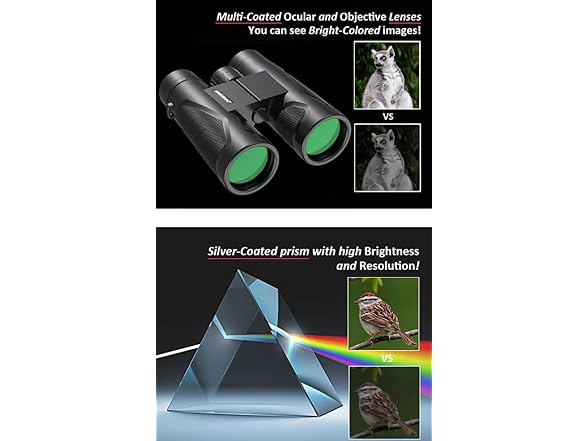 12x42 HD Binoculars with 20mm Eyepieces