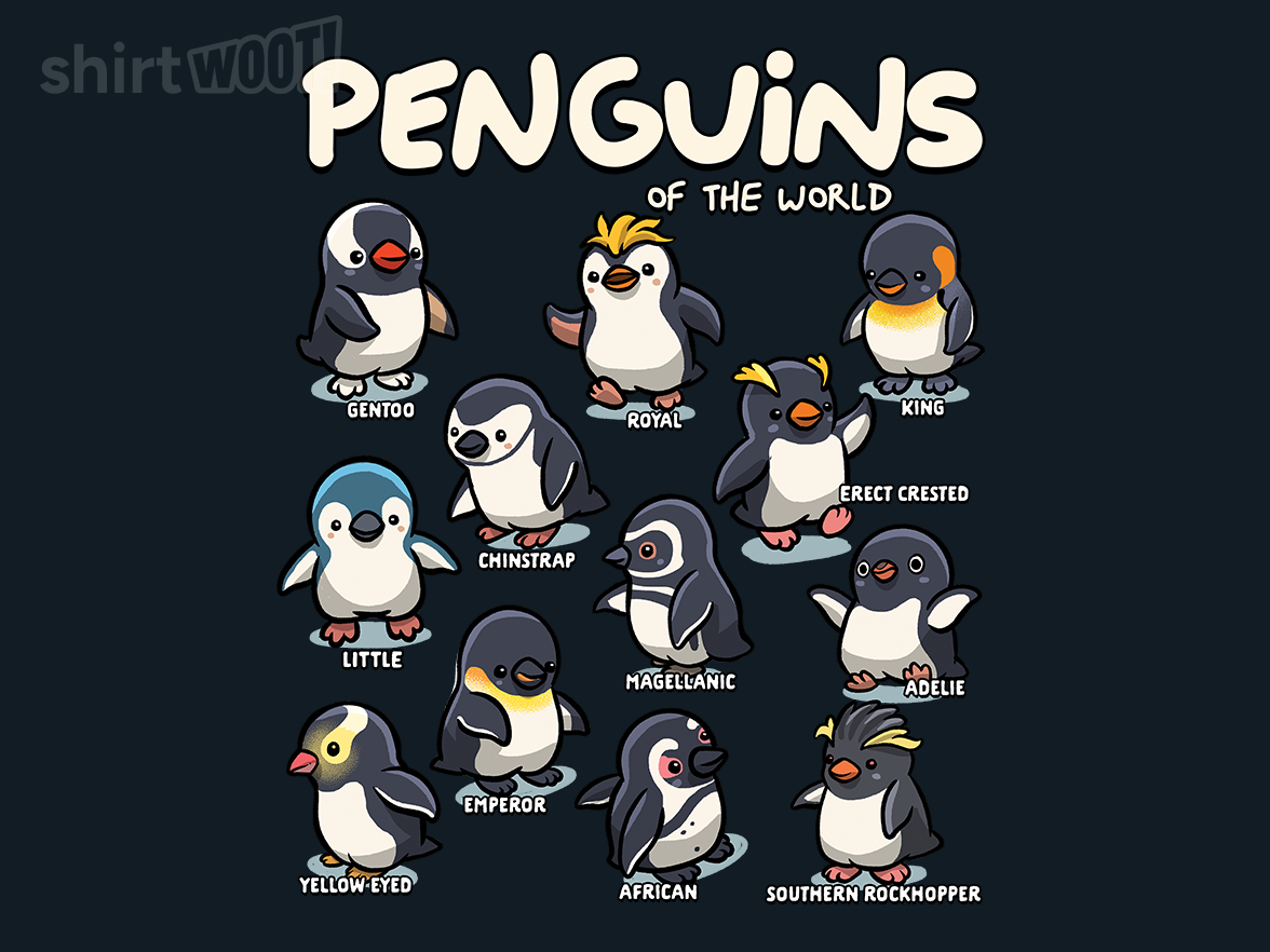 World Penguins - Gallery 9