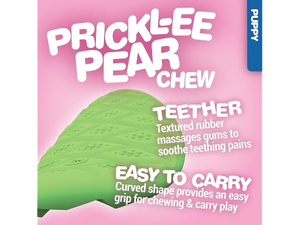 JW Prickl-ee Pear Puppy Teether Chew Toy