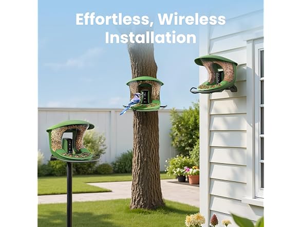 Birdfy 2 Smart Bird Feeder with Camera
