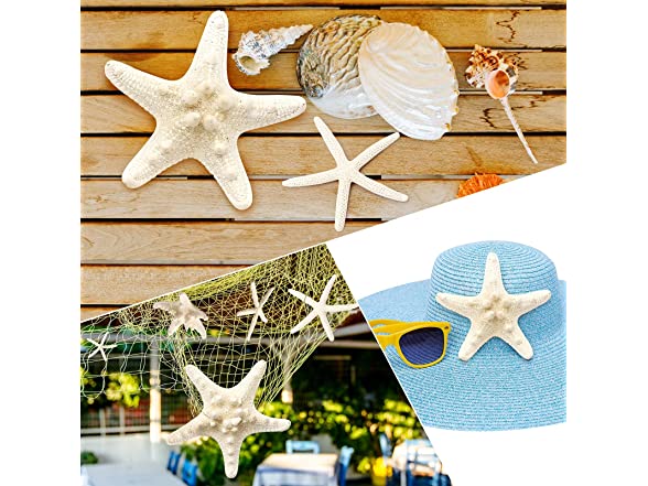 UEIEU 12 PCS Starfish Decor | 2.5-6 Inch
