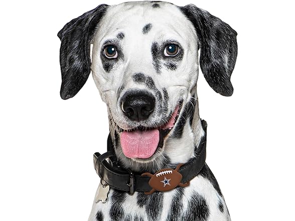 NFL Apple AIR TAG Holder for Dogs