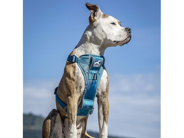 Kurgo Tru-Fit Smart Dog Walking Harness