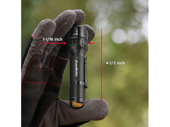 EverBrite 120 Lumen Aluminum LED Flashlight