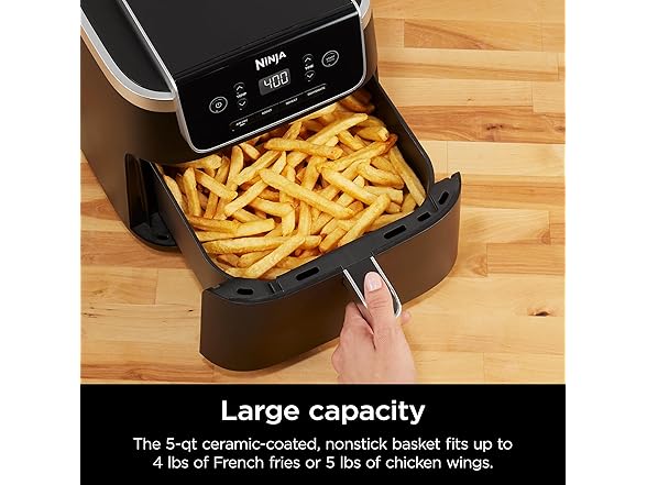 Ninja Air Fryer Pro 4-in-1 with 5 QT Capacity