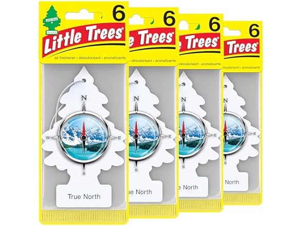 LITTLE TREES Car Air Freshener, 24 Count