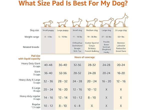 Amazon Basics Leak-Proof Training Pee Pads 100Ct