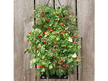$16.99, Was $34.99, 51% Off! Organic Hanging Planter Bag Kit dealfomo