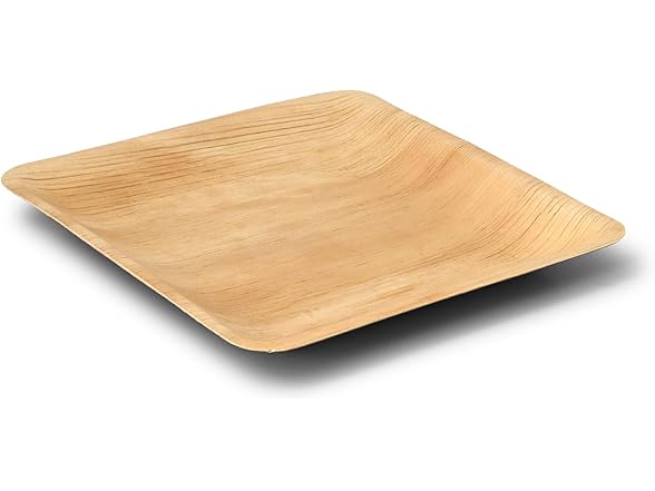 BIOZOYG Palm Leaf Plates 9in 25pk