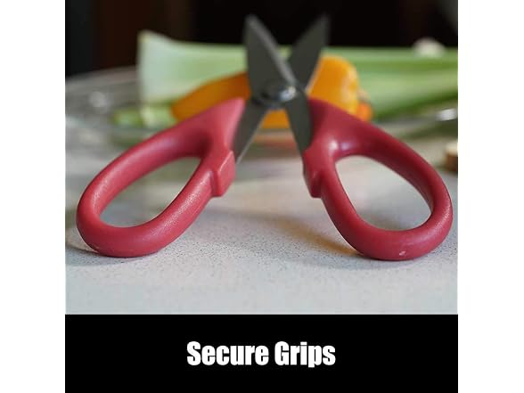 Brite Concepts CULINARY ELEMENTS Kitchen Shears