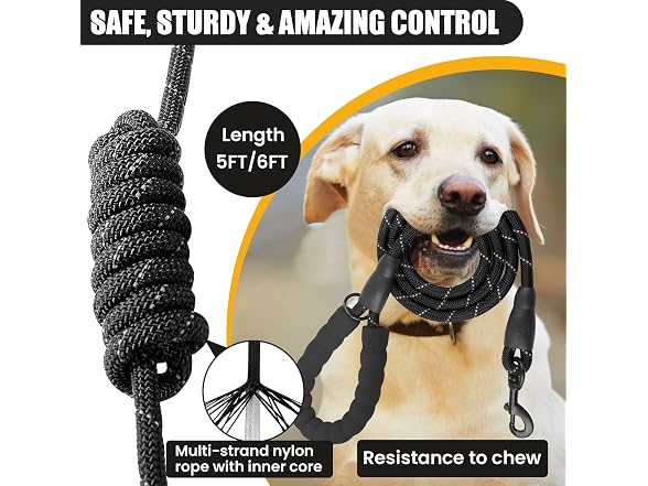 5/6 Ft Dog Leash-Multifunction Dog Treat Pou