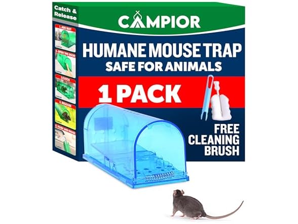 Humane Mouse Trap Blue