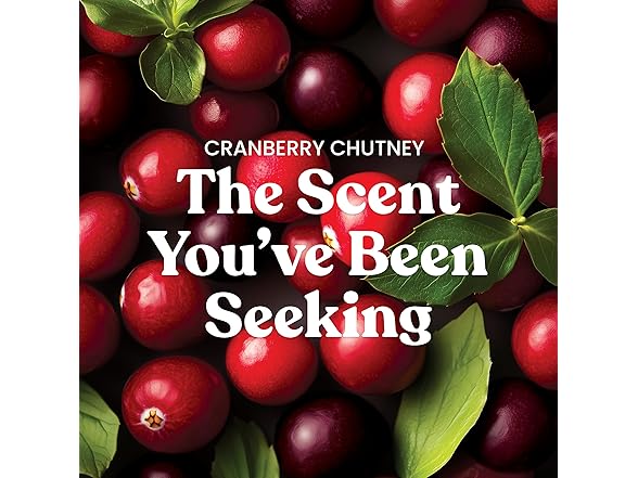 Yankee Candle Cranberry Chutney 22oz