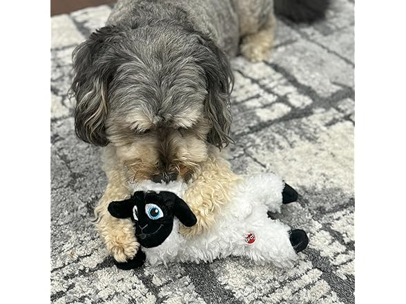 SPOT Baa Baa Black Sheep Plush Dog Toy